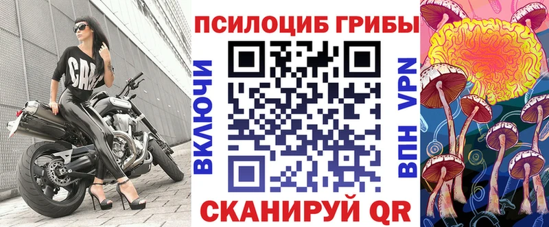 мега зеркало  Норильск  Псилоцибиновые грибы Psilocybine cubensis 
