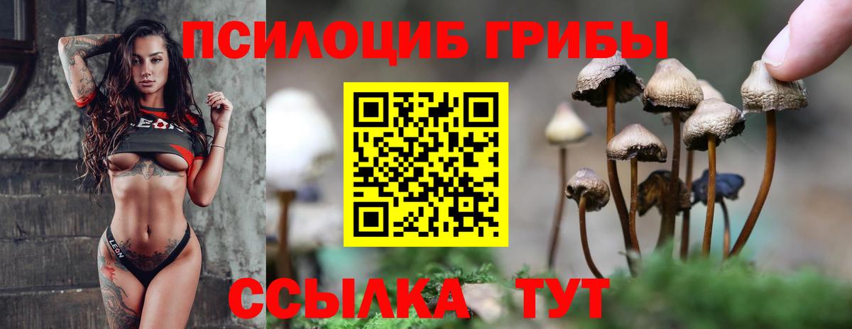 Псилоцибиновые грибы GOLDEN TEACHER Норильск
